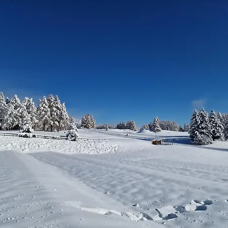 Le Carnotzet Tchiko Minimum 2 Nights Special Weekly And Monthly Prices * Savièse