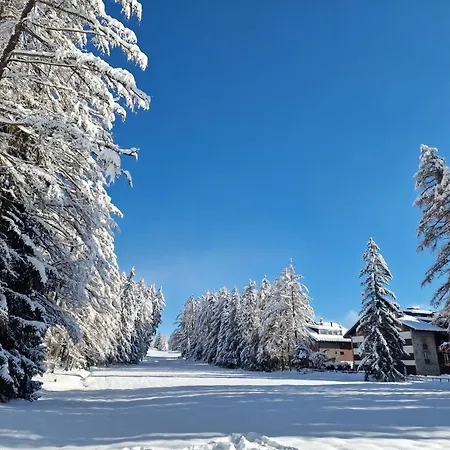 Le Carnotzet Tchiko Minimum 2 Nights Special Weekly And Monthly Prices Апартаменты Saviese