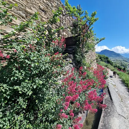 Appartement Le Carnotzet Tchiko Minimum 2 Nights Special Weekly And Monthly Prices *