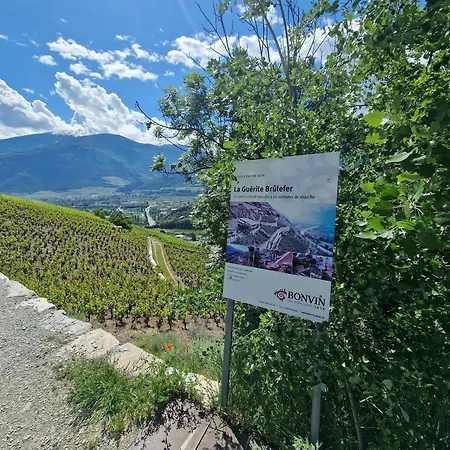 Appartement Le Carnotzet Tchiko Minimum 2 Nights Special Weekly And Monthly Prices Savièse