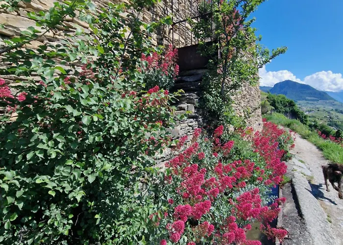 Le Carnotzet Tchiko Minimum 2 Nights Special Weekly And Monthly Prices Appartamento *