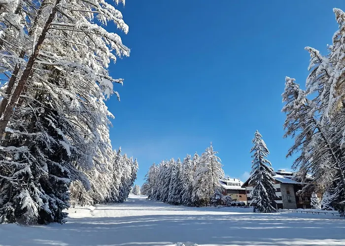 Le Carnotzet Tchiko Minimum 2 Nights Special Weekly And Monthly Prices Appartamento Savièse