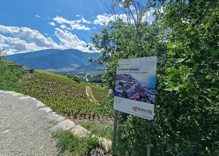 Le Carnotzet Tchiko Minimum 2 Nights Special Weekly And Monthly Prices Appartamento *