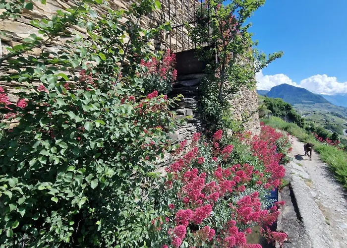 Appartamento Le Carnotzet Tchiko Minimum 2 Nights Special Weekly And Monthly Prices *