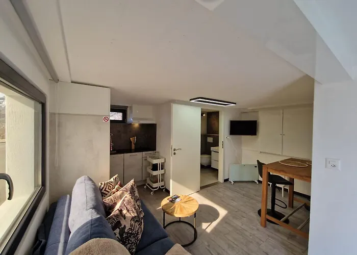 Le Carnotzet Tchiko Minimum 2 Nights Special Weekly And Monthly Prices Appartamento Savièse