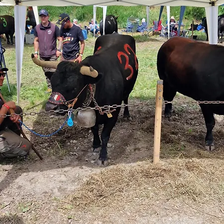 Le Carnotzet Tchiko Minimum 2 Nights Special Weekly And Monthly Prices *