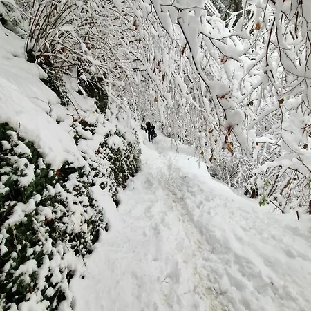 Le Carnotzet Tchiko Minimum 2 Nights Special Weekly And Monthly Prices Appartamento Savièse