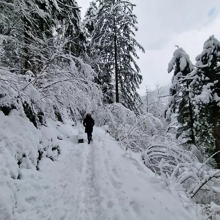 Le Carnotzet Tchiko Minimum 2 Nights Special Weekly And Monthly Prices Savièse