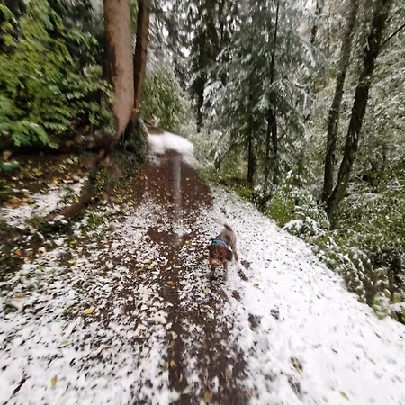 Le Carnotzet Tchiko Minimum 2 Nights Special Weekly And Monthly Prices Appartamento