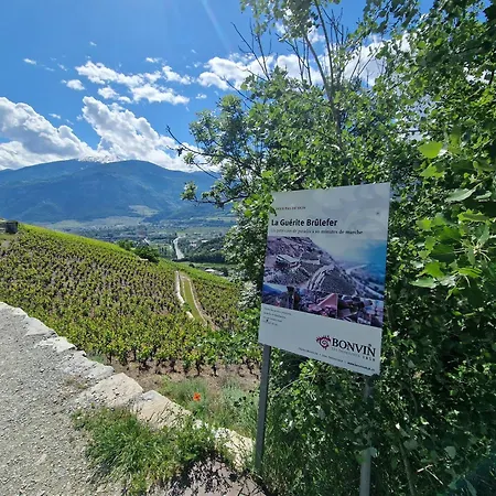 Le Carnotzet Tchiko Minimum 2 Nights Special Weekly And Monthly Prices Appartamento *